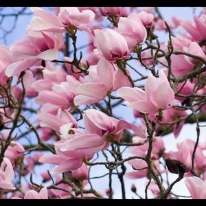 Meet your Posher, Zoe